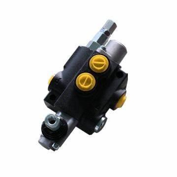 Rexroth A8vo55/A8vo80/A8vo80/6.3/A8vo107 Hydraulic Pump Spare Part Ring Piston
