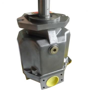 Rexroth Hydraulic Piston Pump A10vo Series Used for Various Machinery