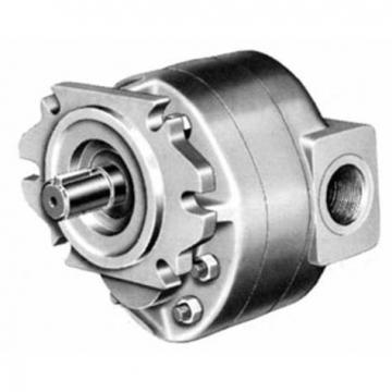 Parker/Commercial/Permco Gear Pump Gear Motor (P50/P51)